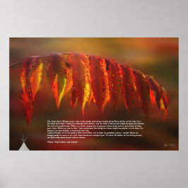 ラコタ祈りの言葉ポスター ポスター