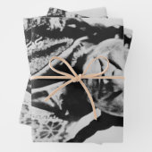 ラコタ首席降伏:座るブルフォートブフォード ラッピングペーパーシート (インサイチュ)