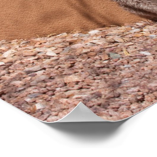 ラゴットロマグノロウェイティングバイアブルードア ポスター (角)