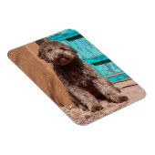 ラゴットロマグノロウェイティングバイアブルードア マグネット (右側)