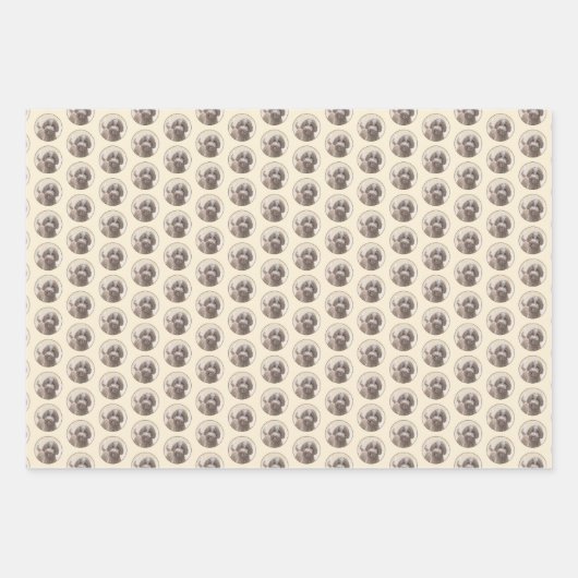 ラゴットロマグノロ絵画ーズ – かわいいオリジナルドッグアート ラッピングペーパーシート (正面)