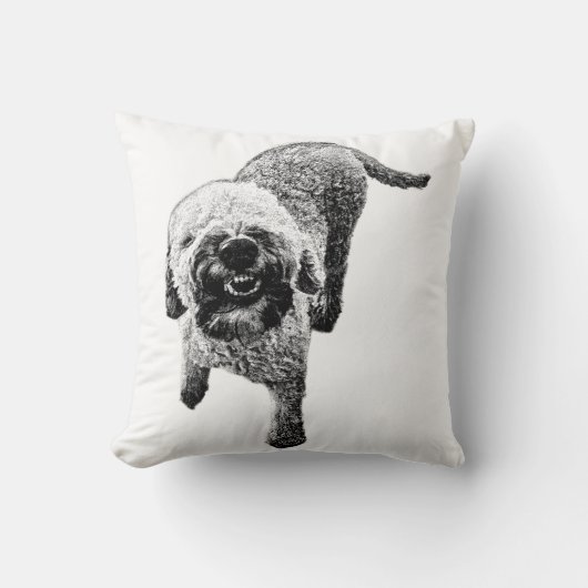 ラゴット・ロマニョーロの枕 – Happy Dog Design クッション (正面)