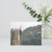 ラゴドスボカスウタドプエルトリコ ポストカード (スタンド正面)