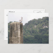 ラゴドスボカスウタドプエルトリコ ポストカード (正面/裏面)