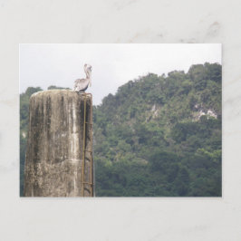 ラゴドスボカスウタドプエルトリコ ポストカード