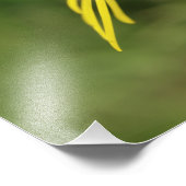 ラゴワのチンナバーモスキャタピラーオンラゴット フォトプリント            (角)