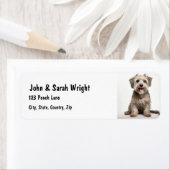 ラサアプカスタムソドッグ住所 シール (インサイチュ)