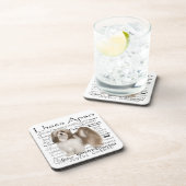 ラサアプソコースター コースター (右側)