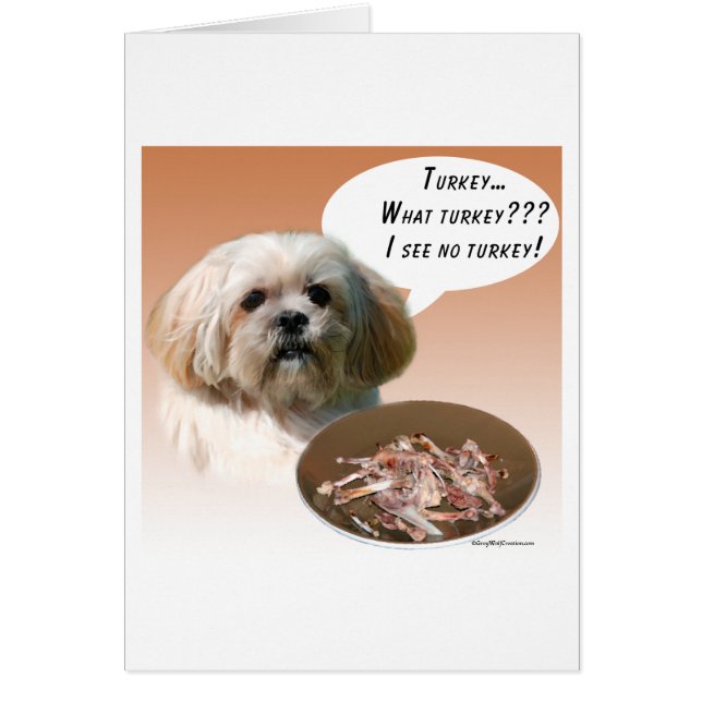 ラサアプソトルコ (正面)