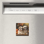 ラサアプソパピーオータムデライトカボチャ マグネット (インサイチュ (食洗機))