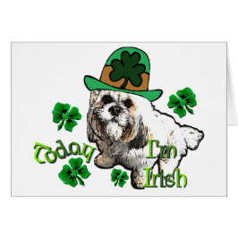 ラサアプソSt patricks