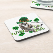 ラサアプソSt patricks コースター (左側)