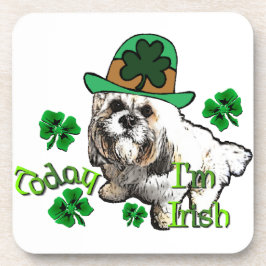 ラサアプソSt patricks コースター