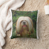 ラサブロンドのApsoの枕 クッション (ブランケット)