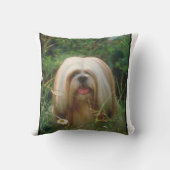 ラサブロンドのApsoの枕 クッション (裏面)