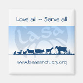 ラサ磁石 マグネット (正面)