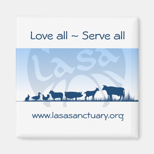 ラサ磁石 マグネット (正面)