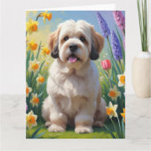 ラサ・アプソ犬 春の花の絵 カード (正面)