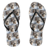 ラサ・アプソ雪のクリスマスを許可 ビーチサンダル (ソール)