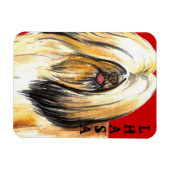 ラサApsoカラーブロック マグネット (横)