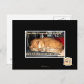 ラザニアの作成 ポストカード (正面/裏面)