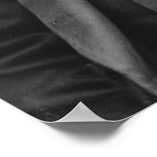 ラザフォードB.ヘイズポートレートバイマシューブレイディ ポスター (角)