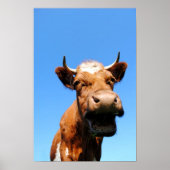 ラシェンドク ポスター (正面)