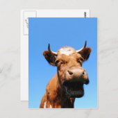 ラシェンドク ポストカード (正面/裏面)