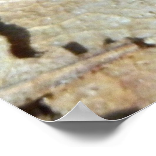 ラシオンマタウェストウッドバタフライポスター ポスター (角)