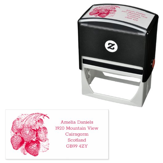 ラシティサマーストロベリーアドレスラバースタンプ セルフインキングスタンプ (インサイチュ)