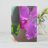 ラシユタ蘭 サンキューカード (スタンド正面)