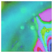 ラジアル歓喜 ファブリック (クローズアップ)