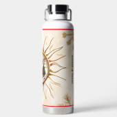 「ラジアントサンデザイン」 ウォーターボトル (背面)