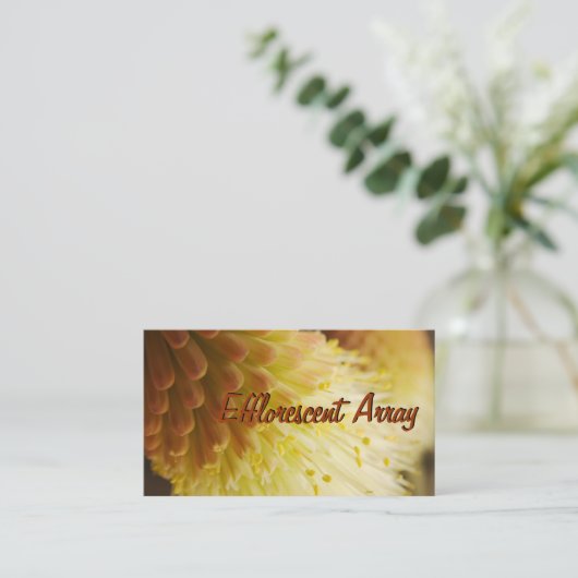 ラジアントトーチユリ園芸芝生のメンテ気にナンス 名刺 (スタンド正面)