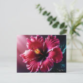 ラジアントハイビスカス開花 ポストカード (スタンド正面)
