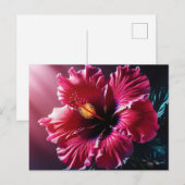 ラジアントハイビスカス開花 ポストカード (正面/裏面)