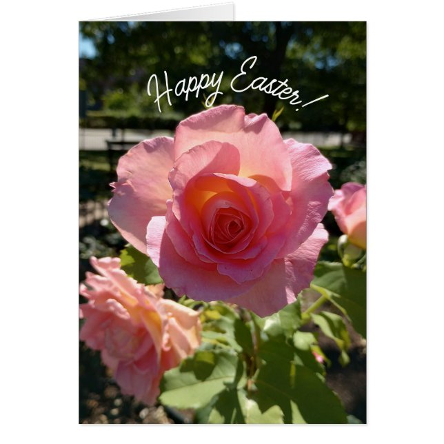 ラジアントピンクティーバライースターカード (正面)