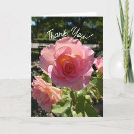 ラジアントピンクティーバラサンキューカード サンキューカード