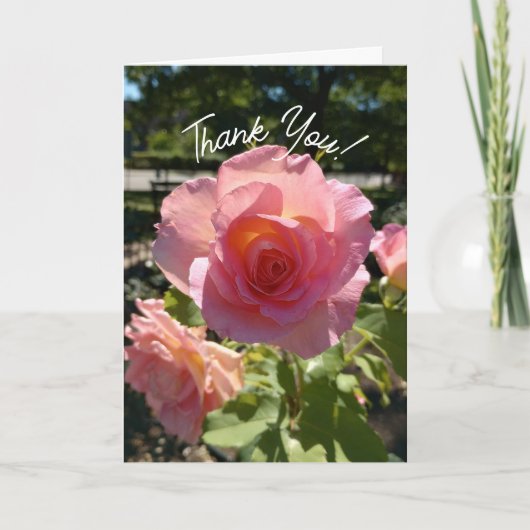 ラジアントピンクティーバラサンキューカード サンキューカード (正面)