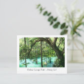 ラジウム春パーク，アルバニーGA ポストカード (スタンド正面)