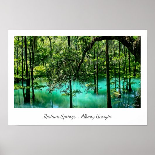 ラジウム春～アルバニーグルジア ポスター (正面)