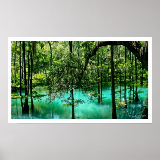 ラジウム春，アルバニー，ジョージア ポスター (正面)