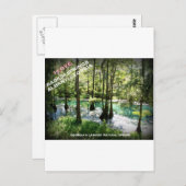 ラジウム春 – アルバニー、ジョージア ポストカード (正面/裏面)