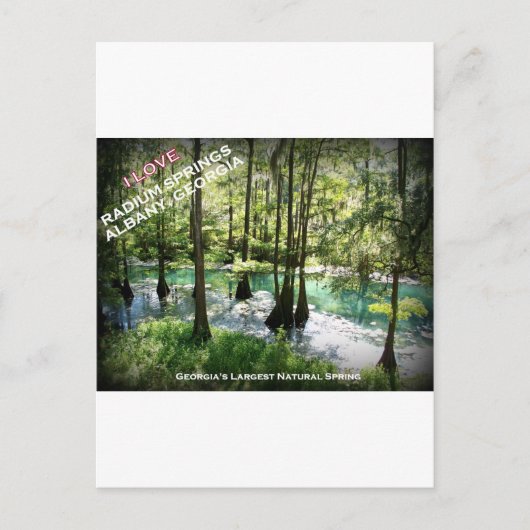 ラジウム春 – アルバニー、ジョージア ポストカード (正面)