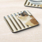 ラジエーターの隣の猫 コースター (左側)