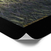 ラジオの墓 ポスター (角)