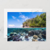 ラジャアンパットアンダーウォーター2 ポストカード (正面/裏面)