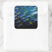 ラジャアンパットアンダーウォーター5 スクエアシール (バッグ)