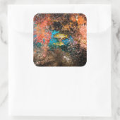 ラジャアンパットアンダーウォーター6 スクエアシール (バッグ)