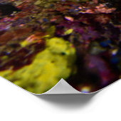 ラジャアンパットアンダーウォーター ポスター (角)